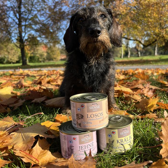 FALCO SENSE DOG jahňa a kuracie 200g