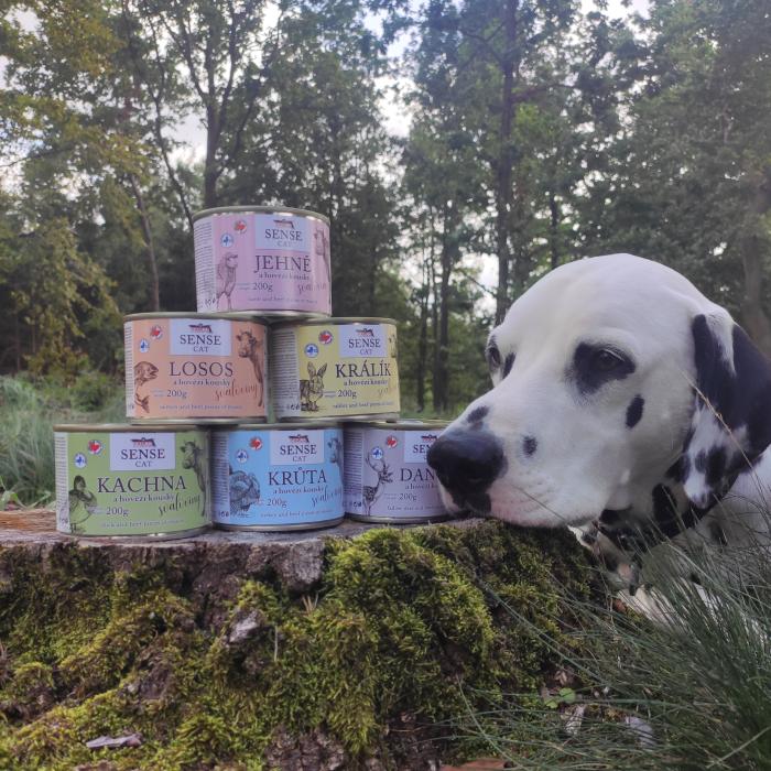 FALCO SENSE CAT daniel a hovädzie 200g