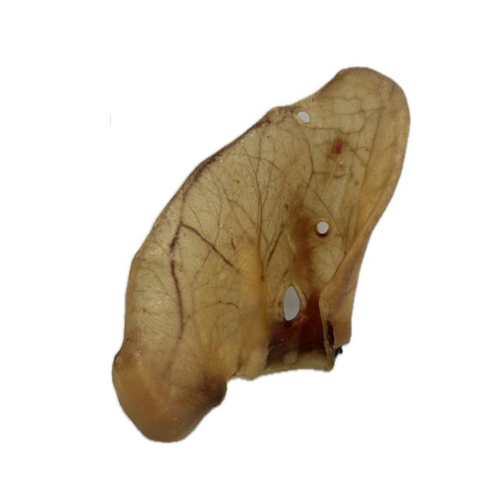 Ucho bravčové MAXI 50 ks