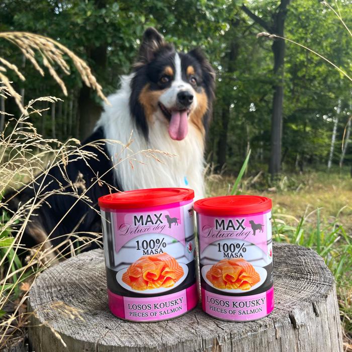 MAX losos kúsky 800g