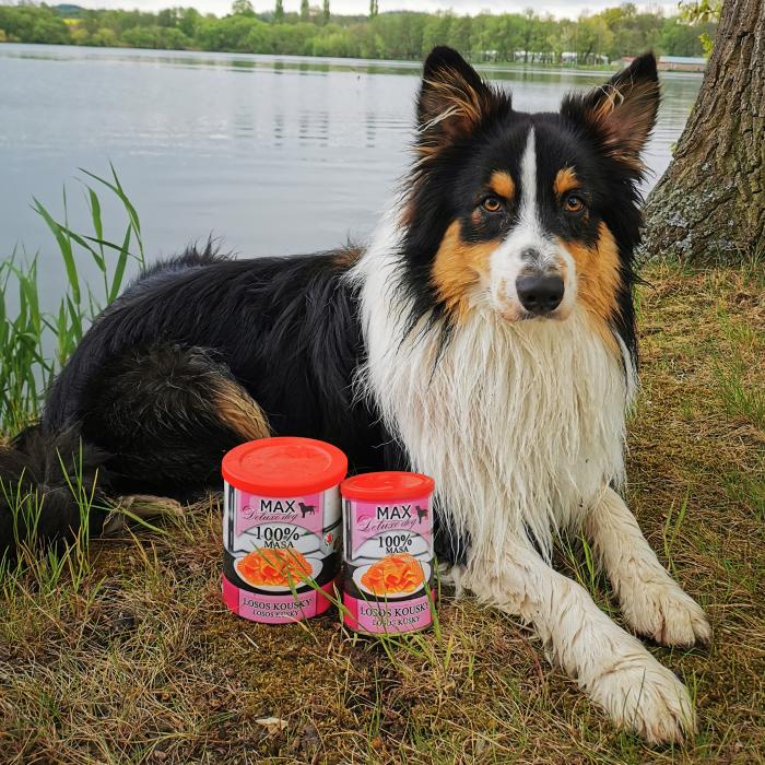 MAX losos kúsky 400 g