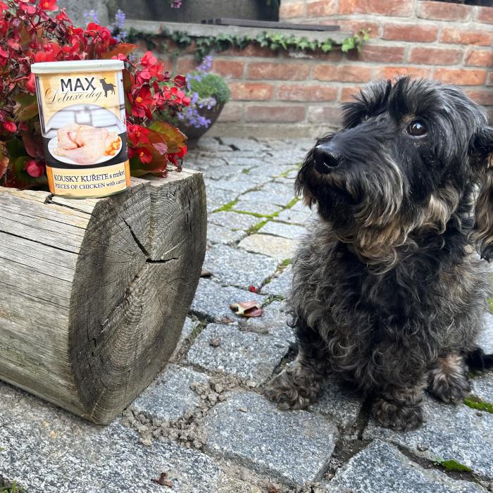 MAX kúsky kuraťa s mrkvou 400g